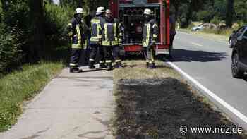 Zigarettenkippe weggeworfen?: Feuerwehr löscht kleinen Flächenband an B65 in Rabber - NOZ
