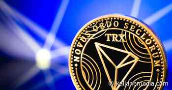 Crypto Catch: Bitcoin holds above US$30K; Tron’s TRX token bucks the trend - kalkinemedia.com