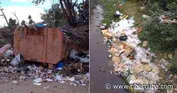 Residentes en barrio de Manzanillo denuncian inacción de autoridades ante basurero cercano a sus casas - CiberCuba