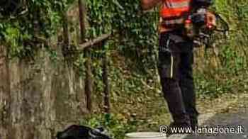 A Montorsoli erba e rifiuti senza controllo - LA NAZIONE