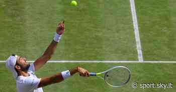 I tennisti con più vittorie sull'erba in percentuale: la classifica. Berrettini è 5° - Sky Sport