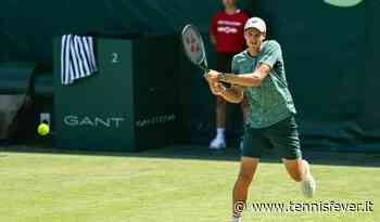 Halle, Medvedev crolla ancora in finale sull'erba: Hurkacz campione - Tennis Fever