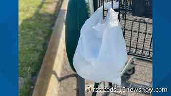 Virginia Beach City Council set to vote on plastic bag fee July 5
