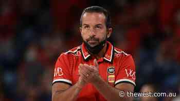 Perth Wildcats coach Scott Morrison resigns after just one season in job - The West Australian