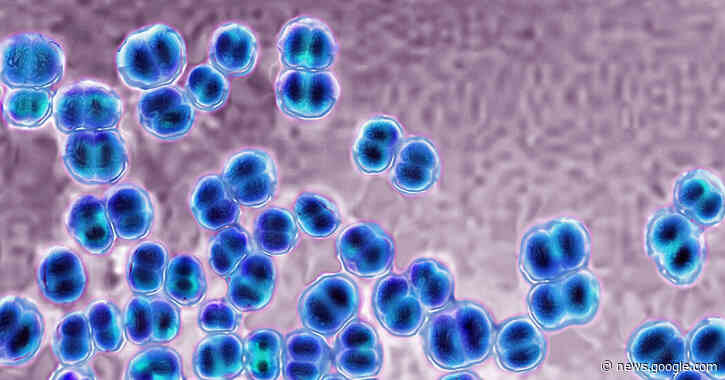 An Outbreak of Meningococcal Disease in Florida Is Growing, the C.D.C. Says - The New York Times