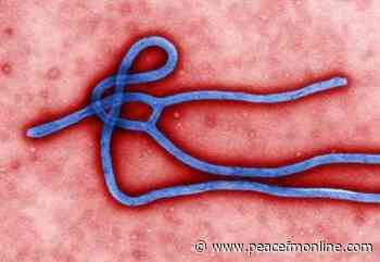 UPDATE: Confirmed Ebola Outbreak In Northern Region | General News | Peacefmonline.com - Peace FM Online