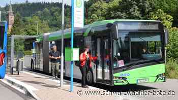 Baustelle Kinzigtalbahn - Bus fährt in Schiltach vor der Nase weg - Schwarzwälder Bote