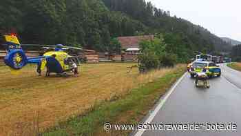 Beim Überholen schwer verletzt: Motorradfahrer prallt bei Schiltach gegen Leitplanke - Schwarzwälder Bote