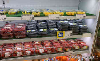 Osservatorio Piccoli frutti: a Modena fino a 26 brand - Myfruit.it