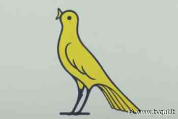 MODENA FC: “SIAMO PRONTI A VOLARE”. IL NUOVO LOGO E' UN CANARINO - Tvqui