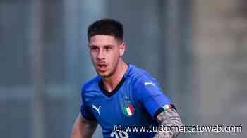 TMW - Modena, idea Marcucci per il centrocampo. Ma occhio alla Pistoiese in caso di riammissione - TUTTO mercato WEB