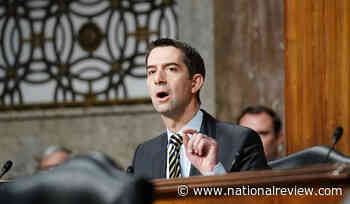 Tom Cotton, Jim Banks Unveil Bill to Make Medical Providers Liable for Minor Gender-Transition Damages - National Review