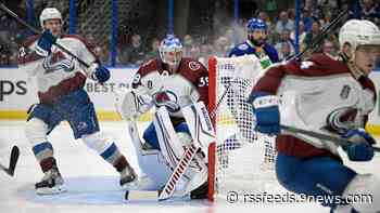 Stanley Cup Final hinges on goaltending contrast