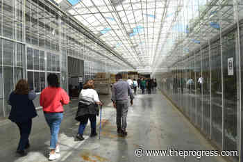 Abbotsford Chamber of Commerce farm tour returns to in-person – Chilliwack Progress - Chilliwack Progress