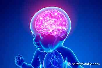 A New Method Can Prevent and Reverse Newborn Brain Injuries