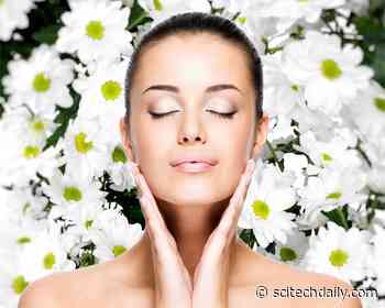 4 Underrated Vitamins for Acne-Free Skin