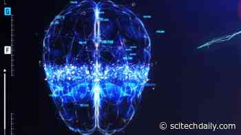 Single Brain Scan Can Diagnose Alzheimer’s Disease Quickly and Accurately