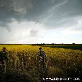 Bewegung bei Verhandlungen zu russischer Getreideblockade - radioeuskirchen.de