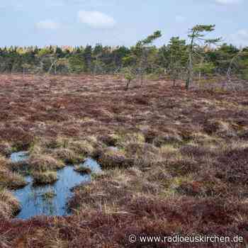 EU-Kommission will Natur vor dem Kollaps retten - radioeuskirchen.de