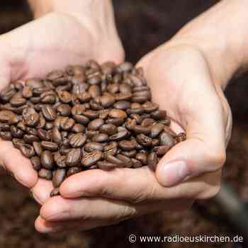 Kaffee selber rösten nichts für Vieltrinker - radioeuskirchen.de