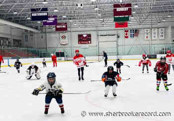 Border minor hockey program focuses on development and sustainability - Sherbrooke Record