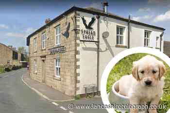 Ribble Valley gastropub launches dog-friendly menu