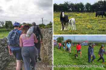 Issa brothers: Protesters hold walk in countryside threatened by plans