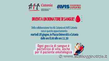 Catania, donazione di sangue: martedì 28 giugno AIL e AVIS insieme in piazza Università - Sicilia Oggi Notizie