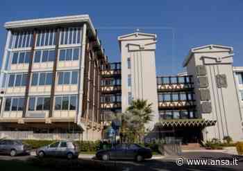 Pnrr: Città metropolitana Catania, piano per 118 mila alberi - Sicilia - Agenzia ANSA