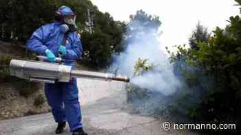 Messina. Disinfestazione nella zona Nord: le strade e villaggi interessati da lunedì 20 al mercoledì 22 giugno - Normanno.com