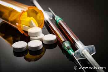 Amherst County veterinarian to spend 8 months in federal prison for drug charges - WSLS 10