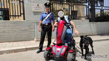 Scooter speciale per disabili si ribalta nelle campagne del Barese: uomo salvato dai carabinieri - BariToday