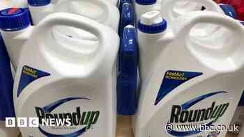Bayer: US Supreme Court rejects chemical maker's weedkiller appeal