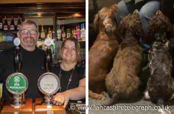 BLACK BULL, RIBCHESTER: Orla the pub dog gives you a warm welcome and community are at the heart of venue