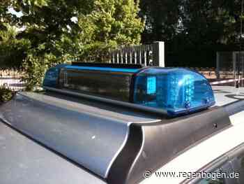 Heidelberg: Schwerer Raub – Passant niedergeschlagen - Regenbogen