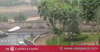 Y la lluvia volvió a Zamora: una gran tromba de agua sorprende a la capital - EL ESPAÑOL