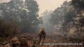 DIRECTO | Última hora del incendio: zona catastrófica - La Opinión de Zamora