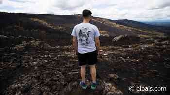 El tiempo ayuda a controlar los incendios en Zamora y Navarra, con desalojos y carreteras cortadas - EL PAÍS