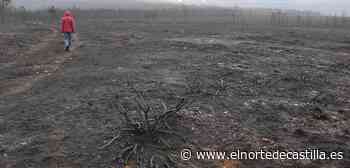 Incendio en Zamora en directo: el fuego baja a nivel 1 de peligrosidad - El Norte de Castilla