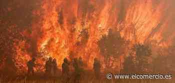 Asturias se suma a la lucha contra el fuego en Zamora - El Comercio: Diario de Asturias