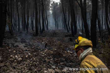El incendio de la Sierra de la Culebra en Zamora calcina al menos 20.000 hectáreas - Expansión