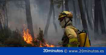 Incendios forestales: desalojados seis pueblos en Zamora y preocupación por el potencial de crecimiento de uno de los fuegos de Lleida - 20minutos.es