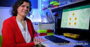 Online tool gives hope to cancer patients - The Transcontinental