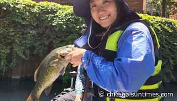 Chicago fishing, Midwest Fishing Report: Perch, smallmouth, lake trout, flatheads, walleye, bluegill - Chicago Sun-Times