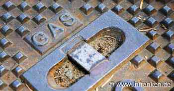 Was sieht der Notfallplan Gas vor?