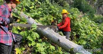 Trail Association looking for youth volunteers - Coeur d'Alene Press