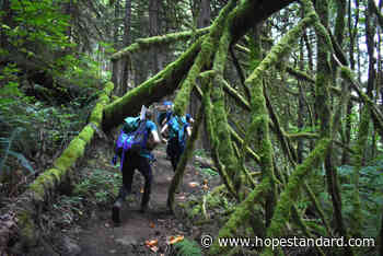 Heli-logging causing limited closures of Hope's Dragon Back trail – Hope Standard - Hope Standard