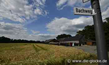 Holzgasheizwerk am Bachweg in Verl geplant - Die Glocke