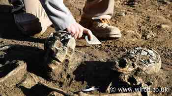 What the DNA of Ancient Humans Reveals About Pandemics