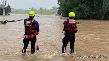 NSW Mid North Coast floods rescue team recognised at Higgins and Langley Memorial Awards - ABC News